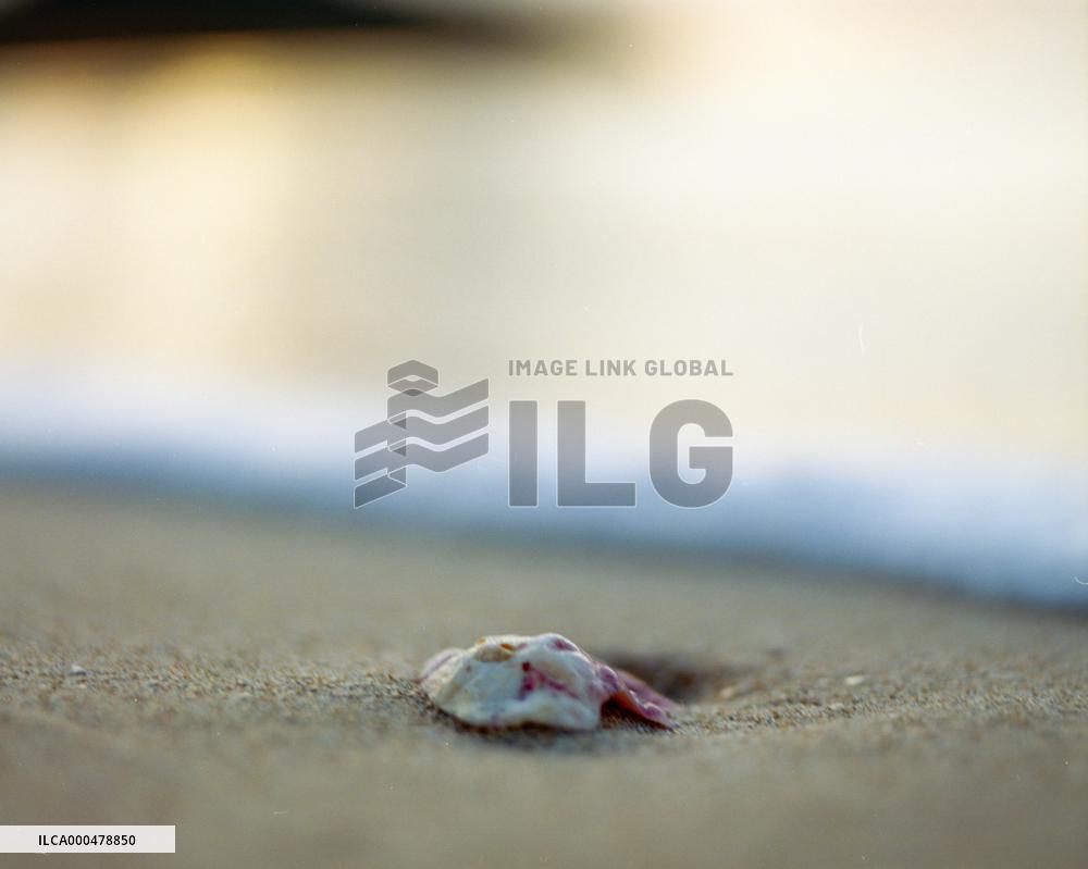 the sea of Ise