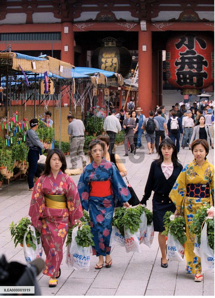 Annual 'hozuki' plant fair opens in Tokyo's Asakusa