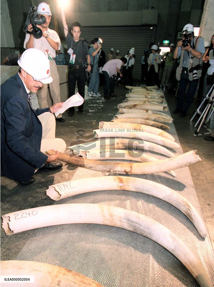 Ivory imports checked at Tokyo customs