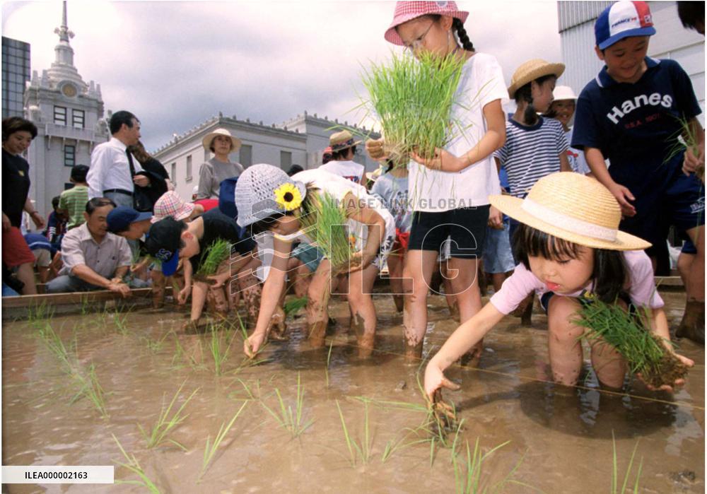 Children plant rice on roof of Tokyo department store