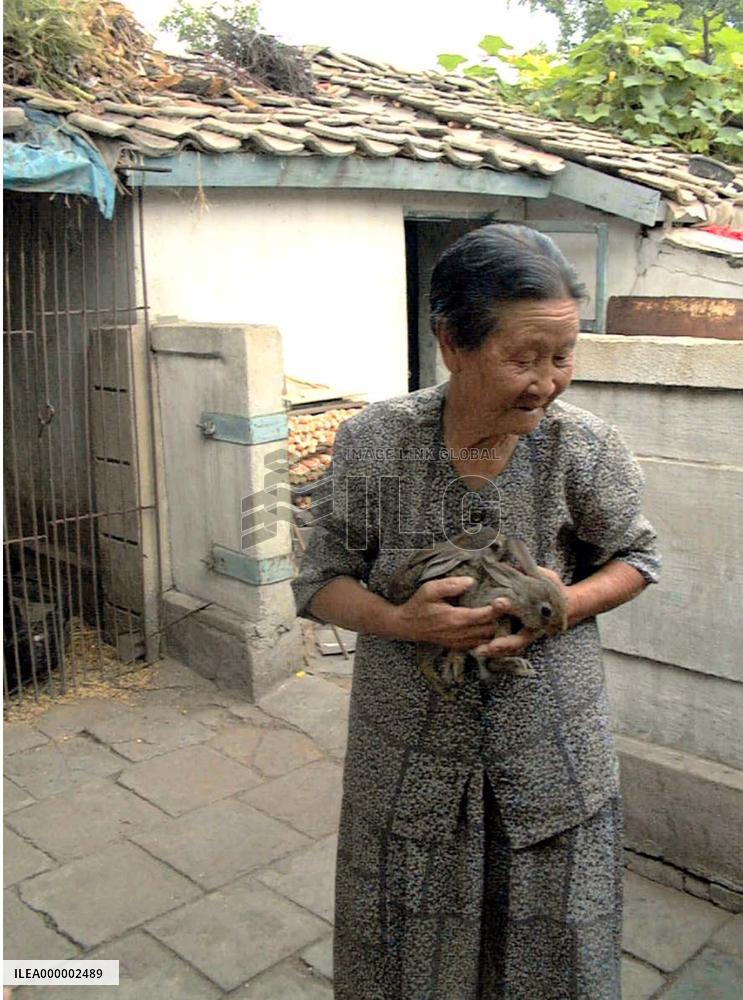 N. Korean farmers ordered to grow up 5-10 rabbits per head
