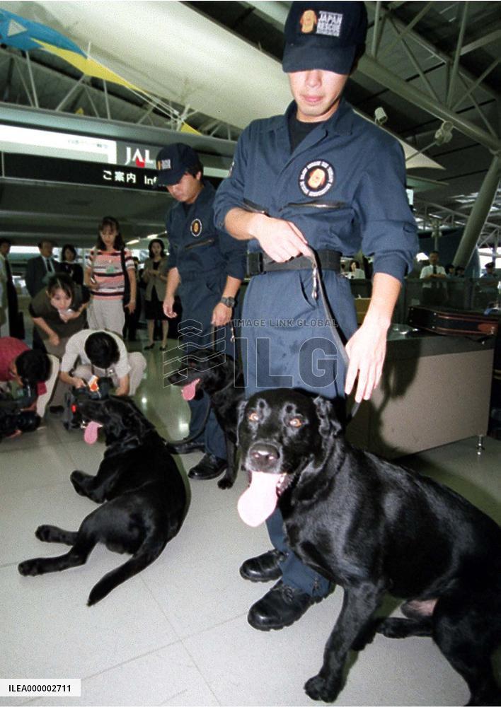 3 sniffer dogs leave Japan for Taiwan