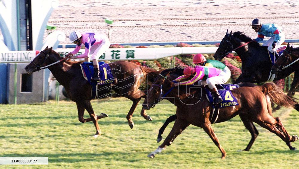 Narita Top Road wins Kikka-sho