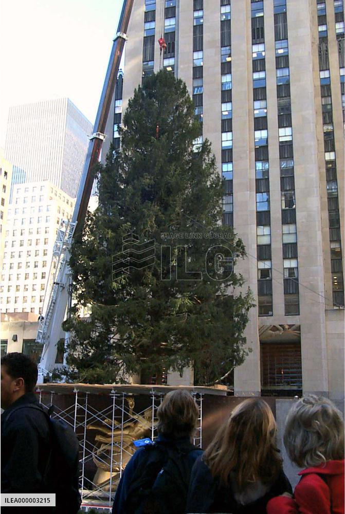 Christmas tree put up at NY's Rockefeller Center