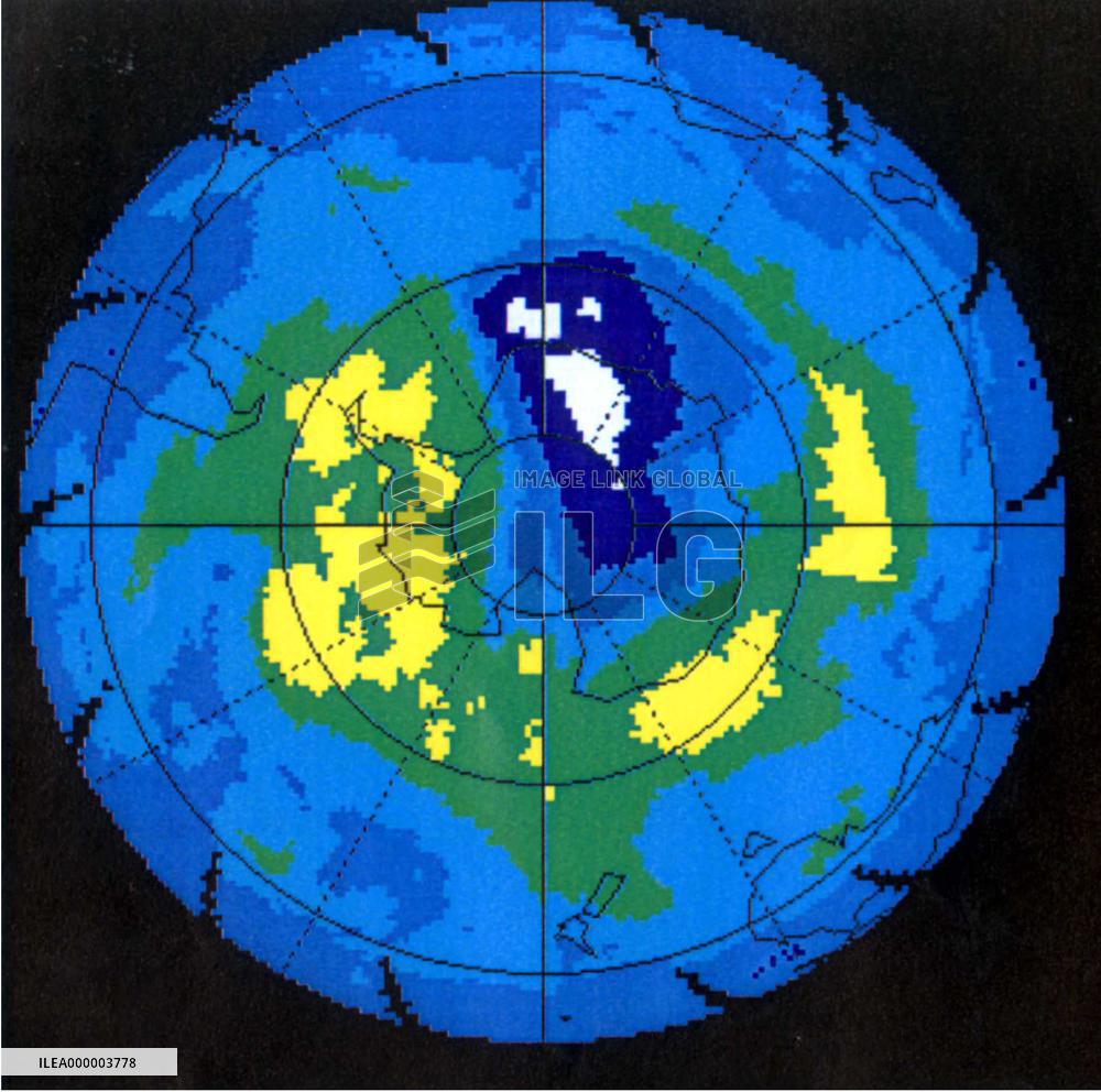 Holes in ozone layer confirmed