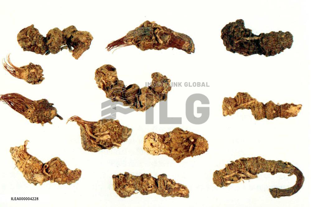 Ancient Japanese drugs originated from all over Asia