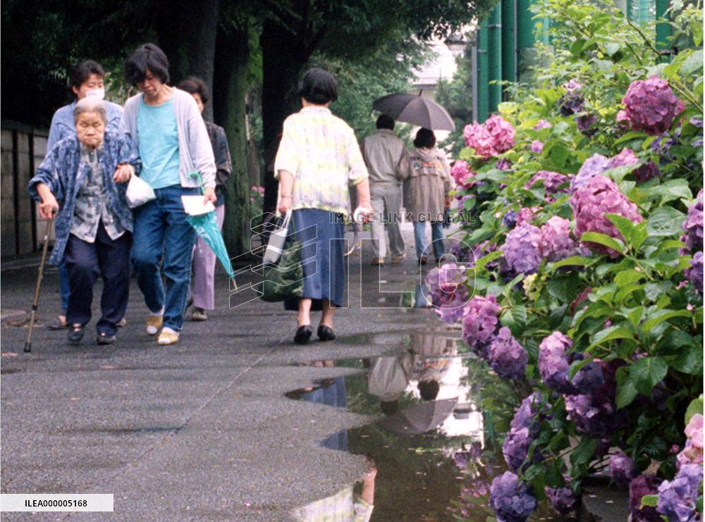 Early voter turnout lower than previous general election