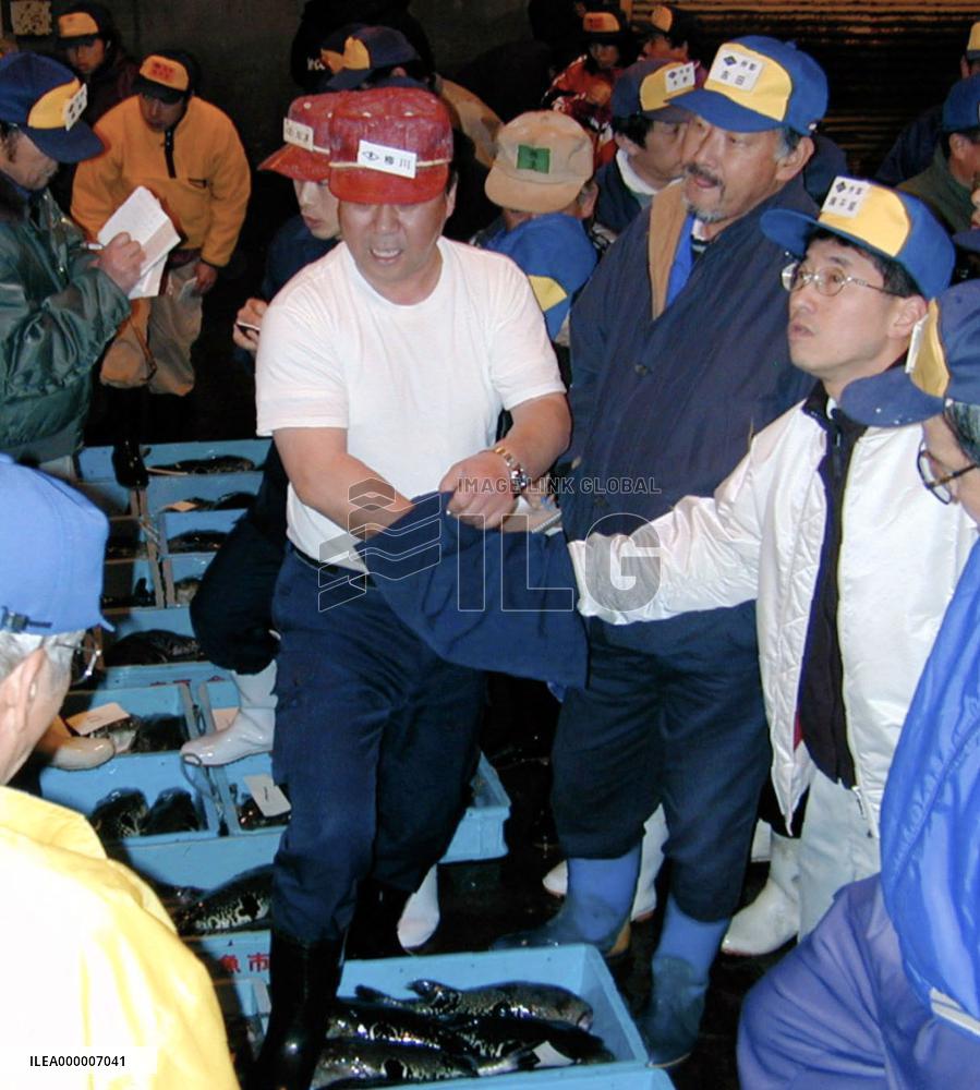 New millennium's 1st globefish auction held in Shimonoseki