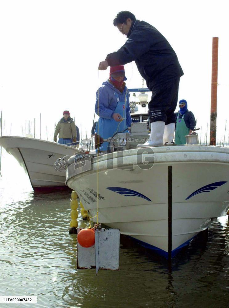 Fukuoka Pref. inspects Ariake Sea over poor seaweed crop
