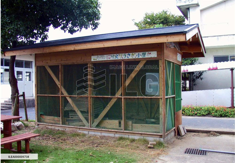 11 rabbits found killed at school in Tottori