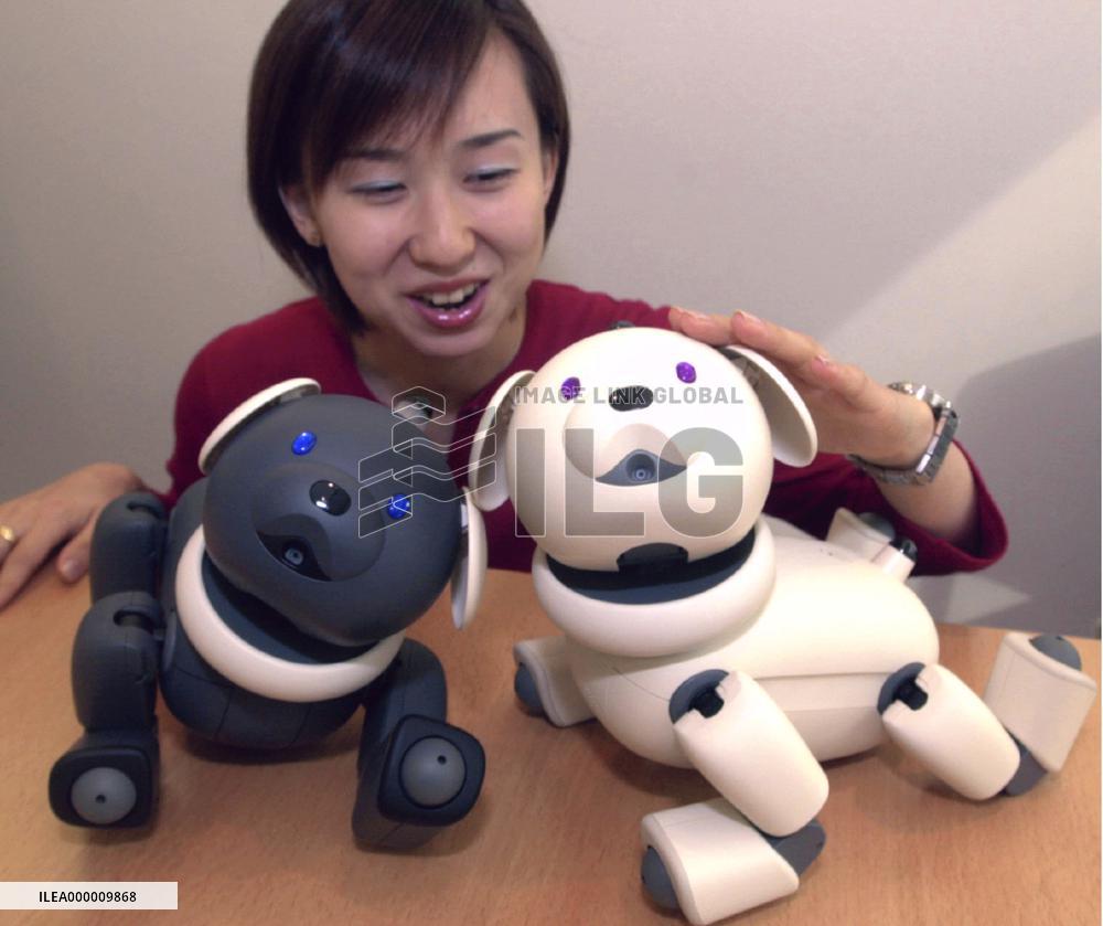 Sony to sell bear version of 'Aibo' robot pet