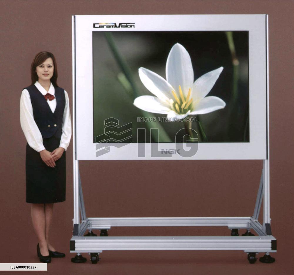 NGK develops world's 1st ceramic displays+