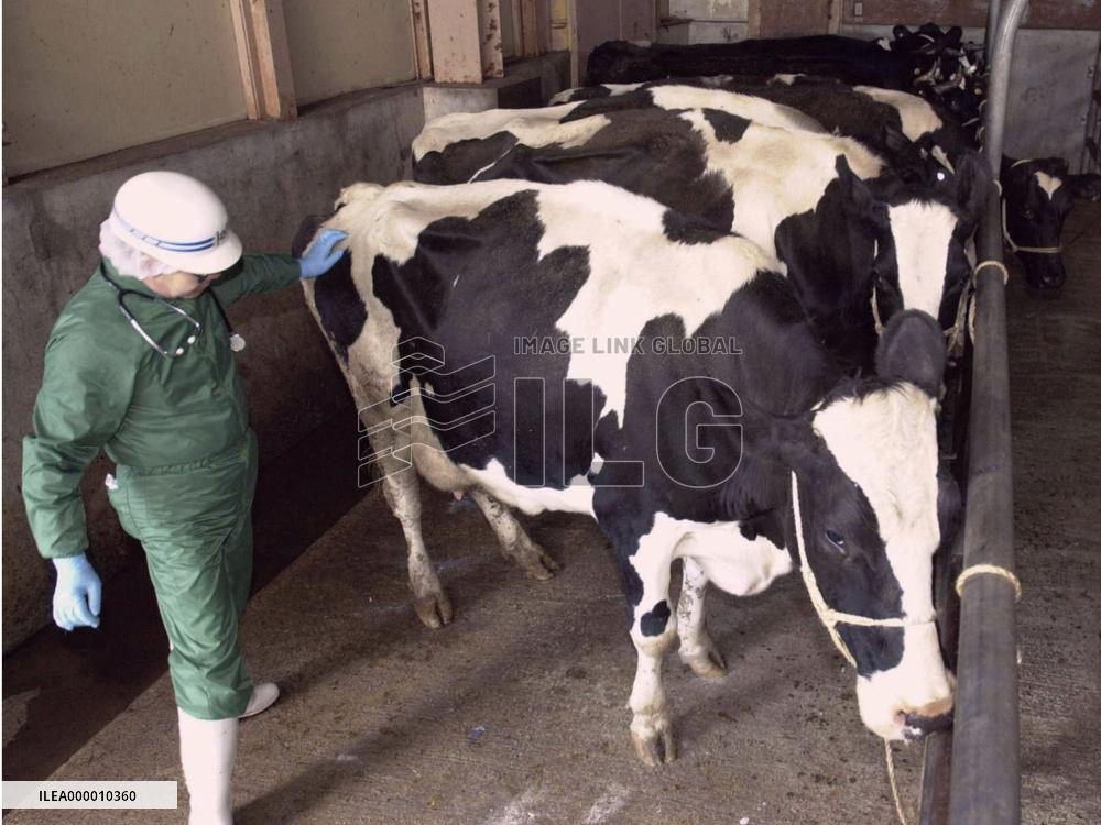 (2)Japan declares domestic beef safe to eat