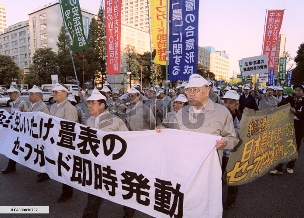 Japanese farmers rally to demand safeguard measures on imports