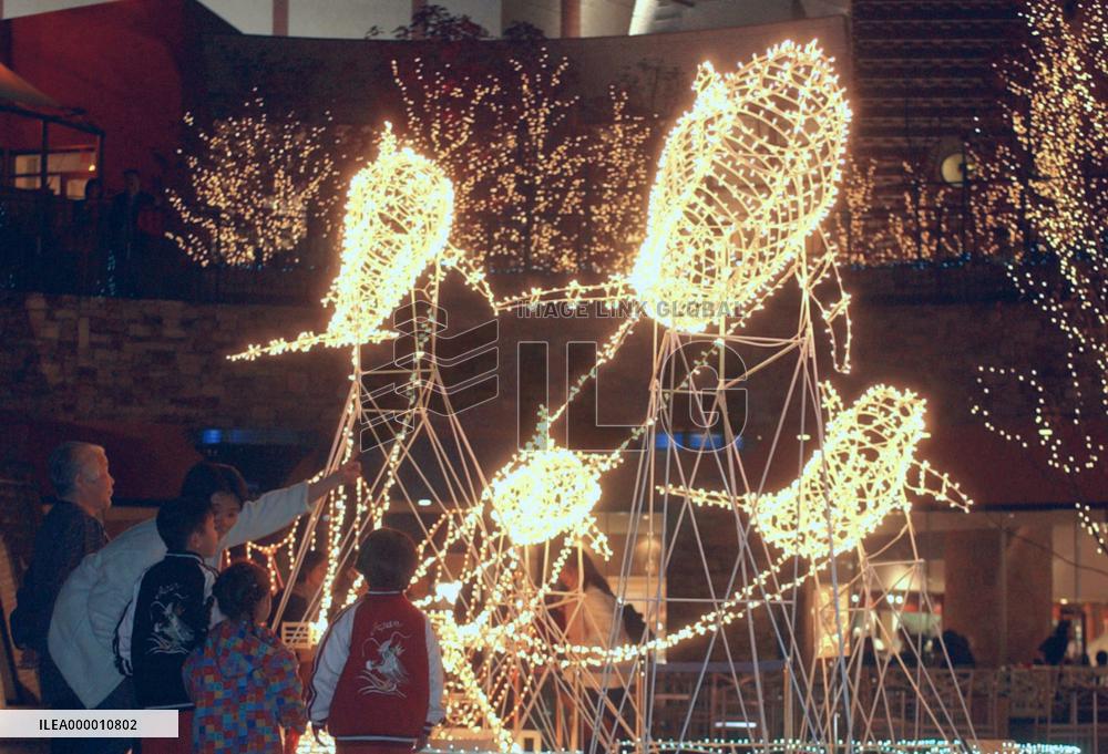 Dolphin illuminations lit up