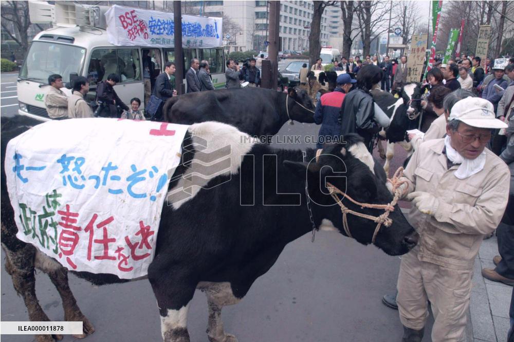 Farmers demand gov't compensation over mad cow