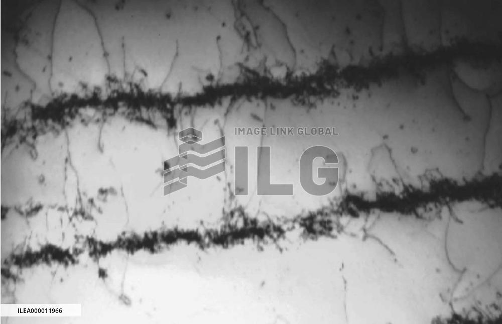 Researchers find new way to predict end of metal life cycle