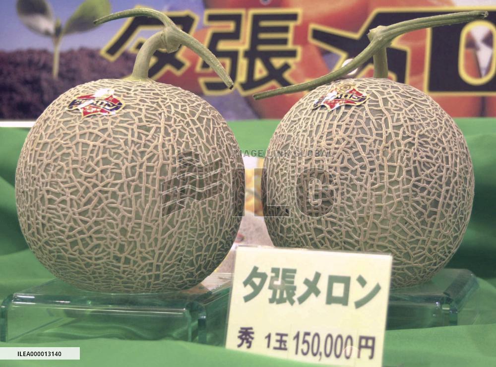 Season's first crop of 'Yubari' melon fetches 150,000 yen