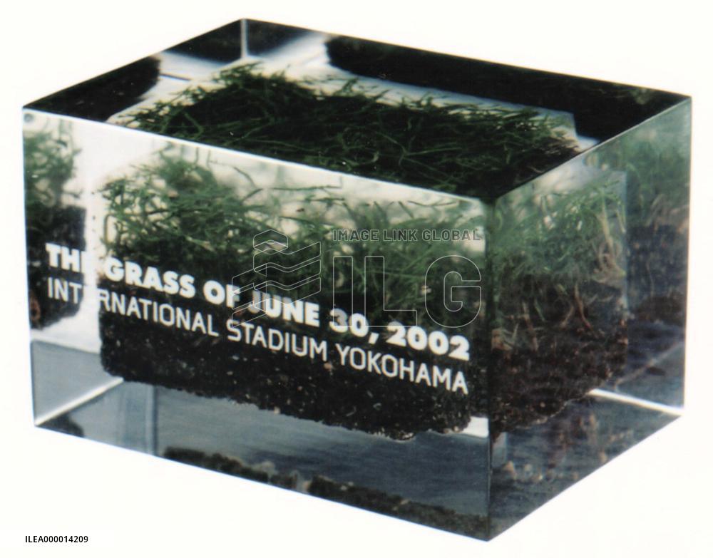 World Cup soccer stadium's lawn to be sold