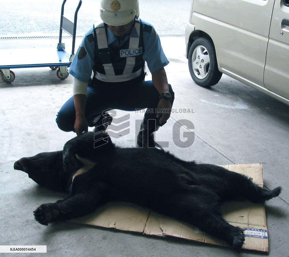 Bear electrocuted in Kyoto
