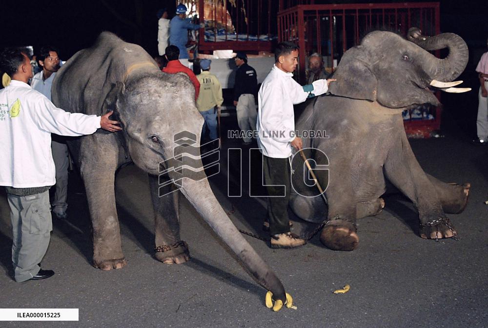 (2) 2 Thai young elephants arrive in Japan