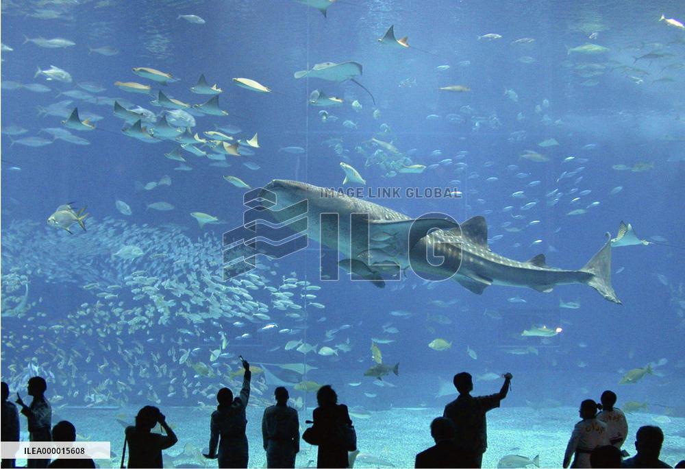 Huge aquarium opens in Okinawa Pref.