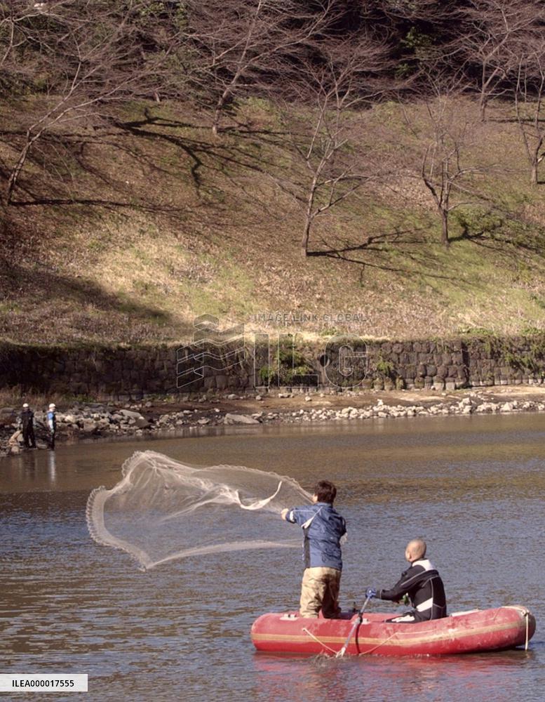 Gov't begins netting nonnative fish from imperial moat