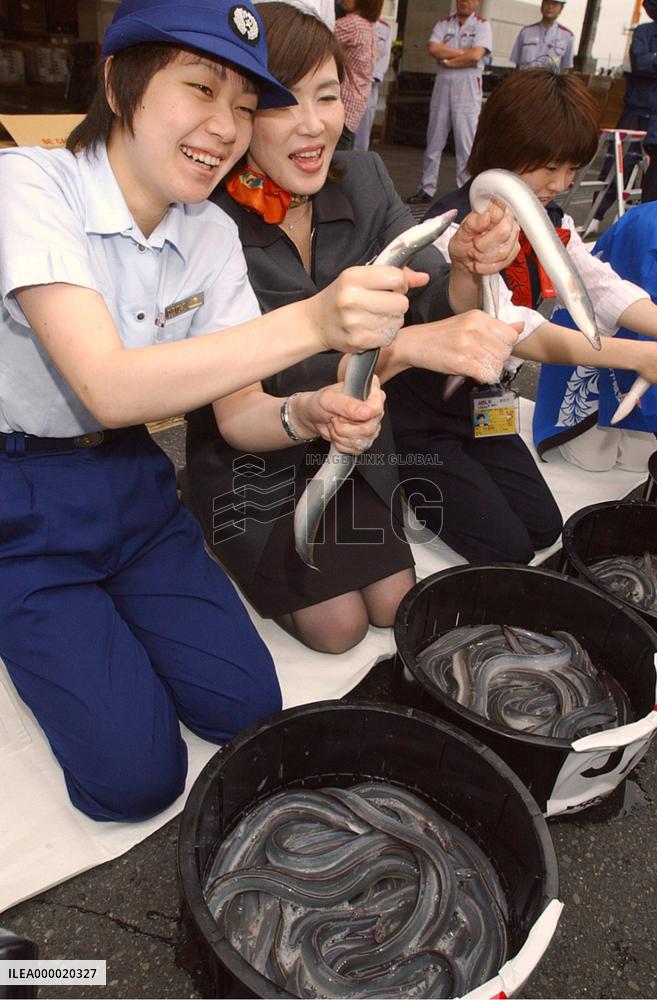 Eels from Taiwan arrive in Japan for eel-eating season