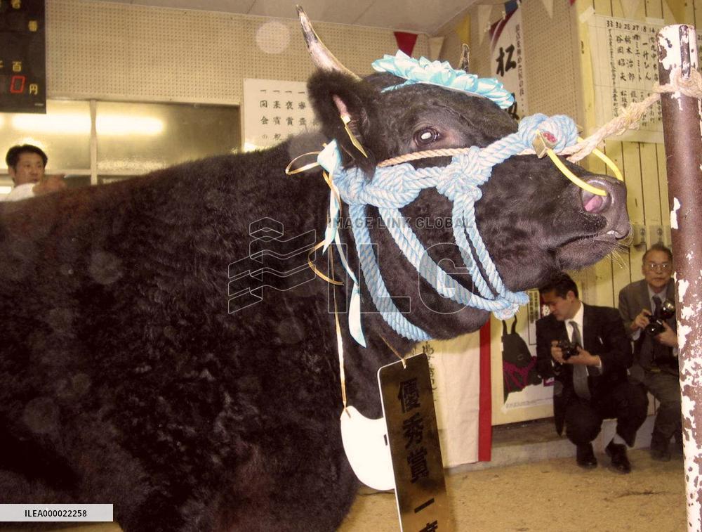 Best Matsuzaka cow priced at 20 mil. yen