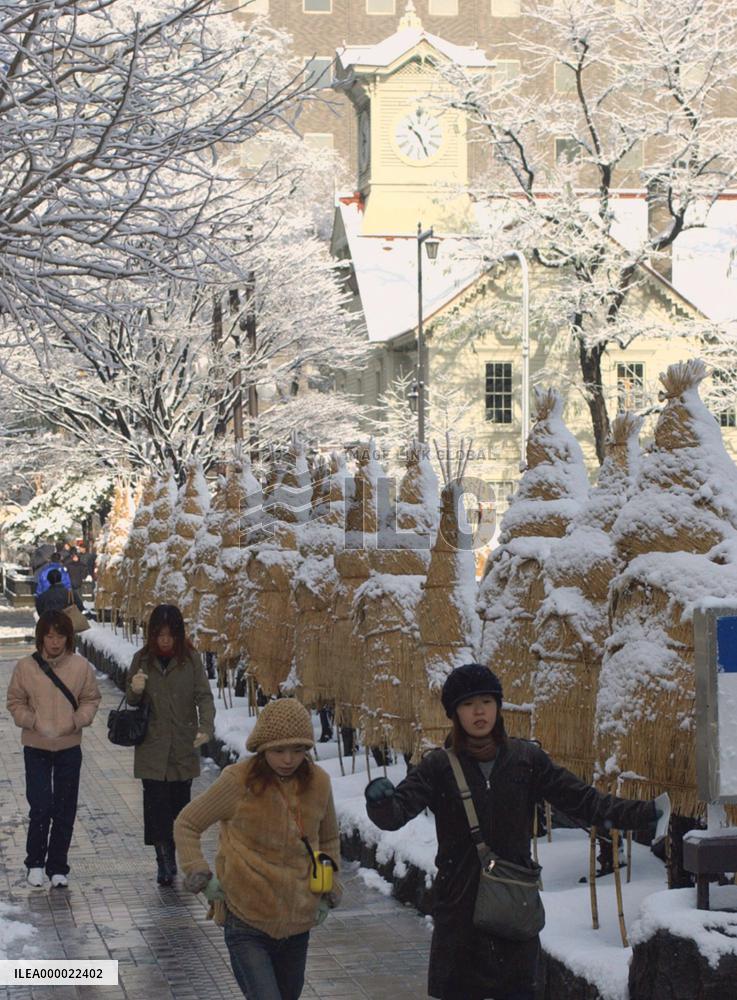 Winter weather brings snow in Sapporo
