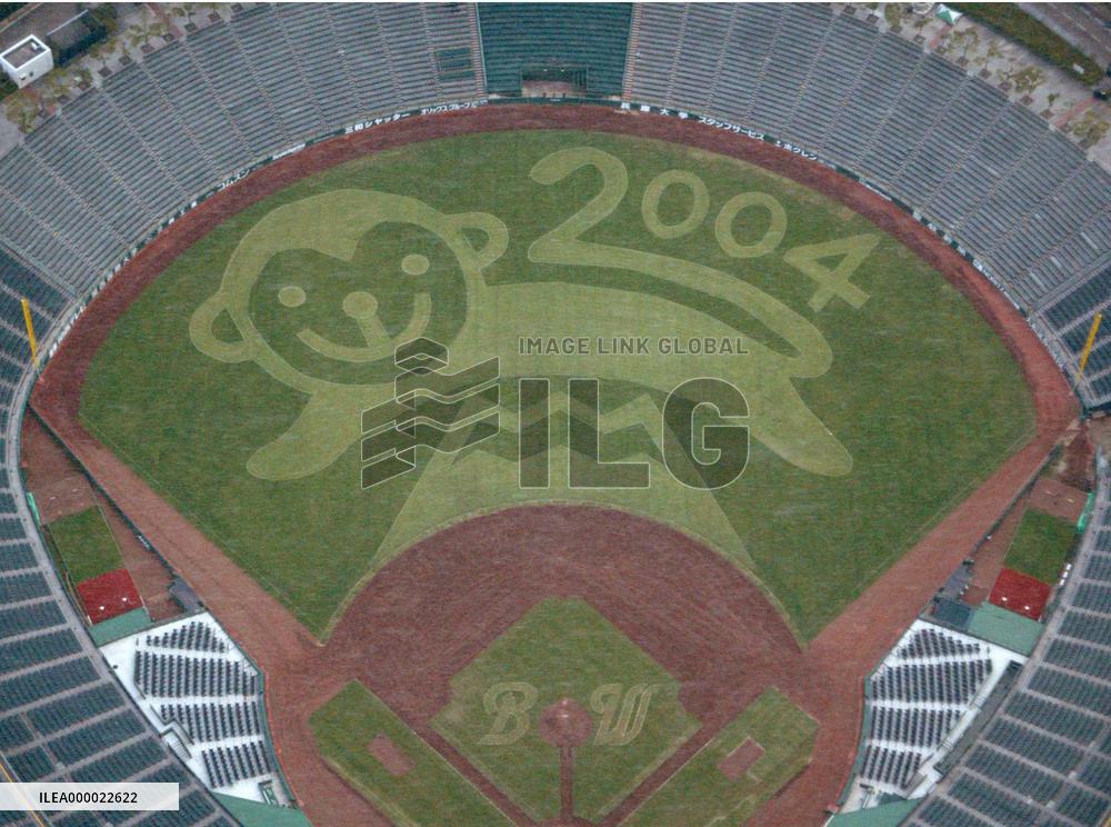 Monkey on baseball stadium