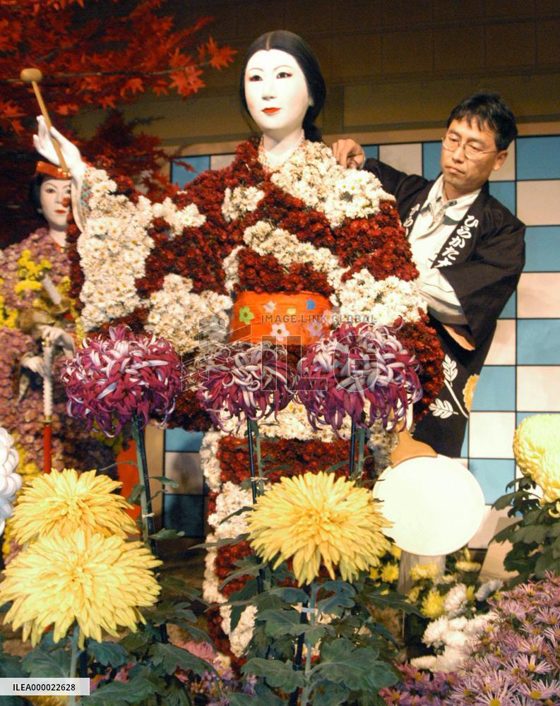 Chrysanthemum doll maker