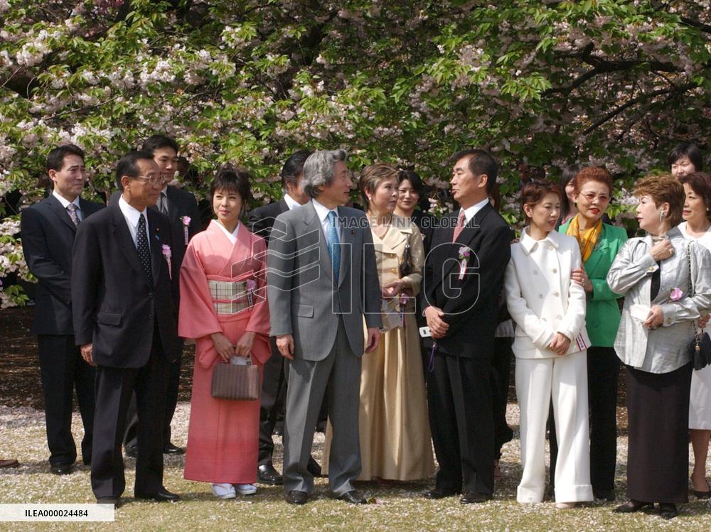 (2)Koizumi hosts cherry blossom-viewing party