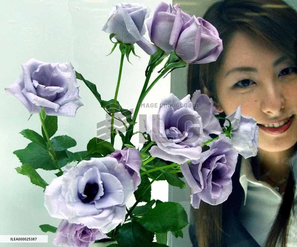 Suntory develops biotechnology-driven 'blue roses'