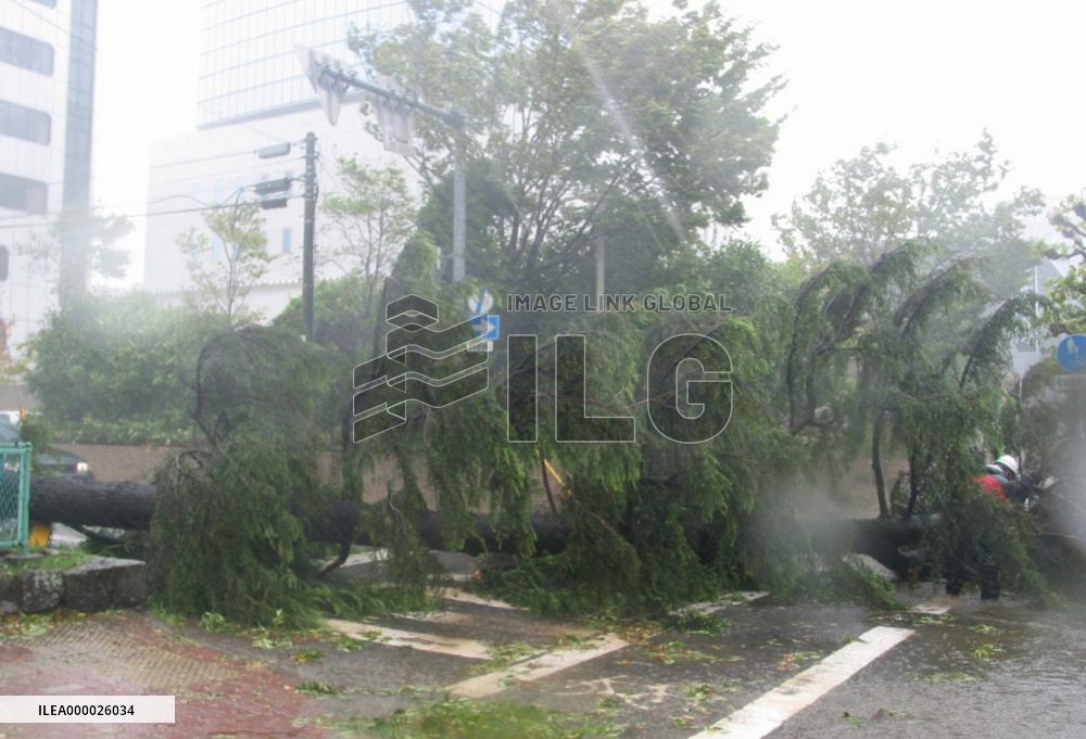 (2)Typhoon Chaba hits Kyushu