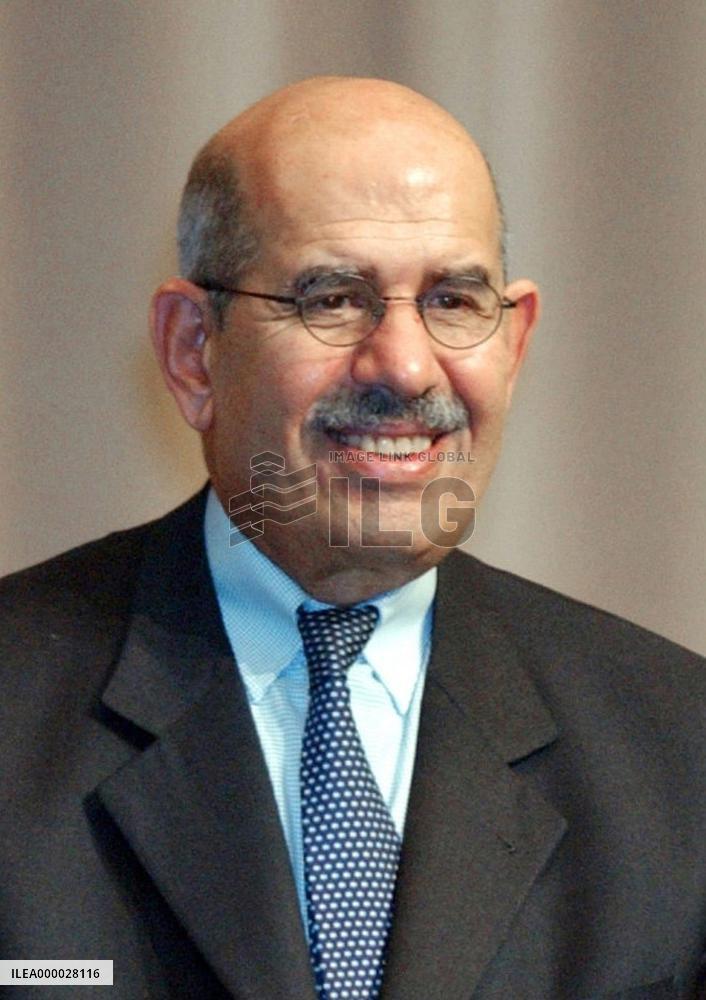 IAEA chief voices concern over N. Korea's nuke declaration