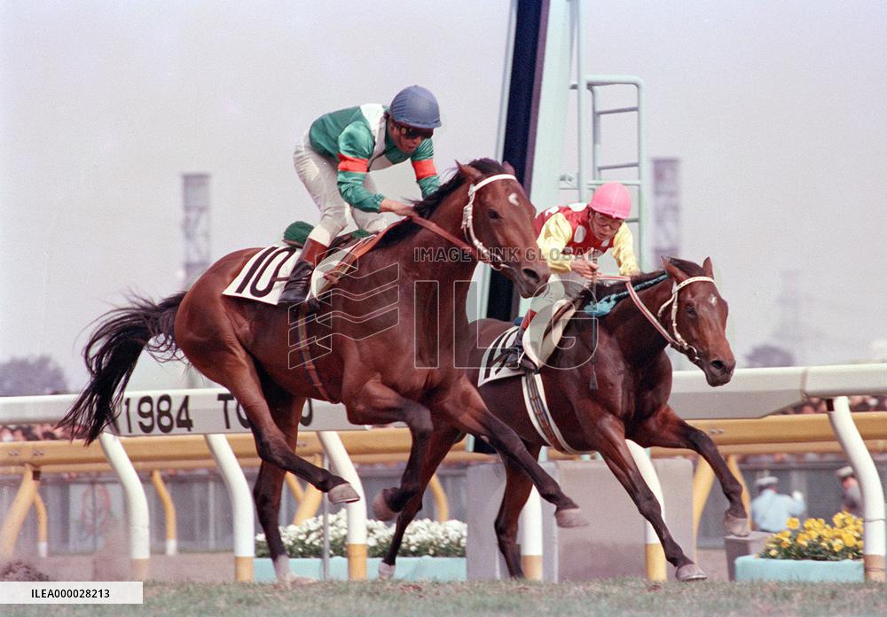 Veteran jockey Okabe is set to retire