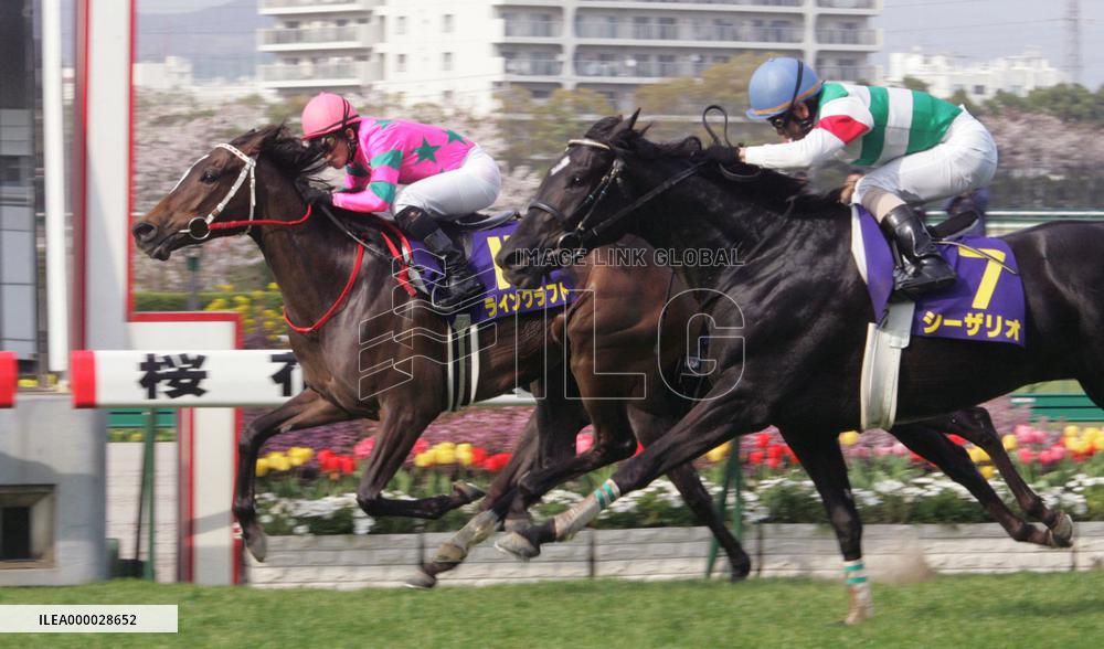 Rhein Kraft wins Oka-sho