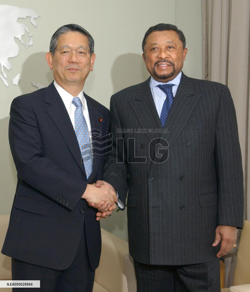 Ping to arrange meeting to ease tension over U.N. reform