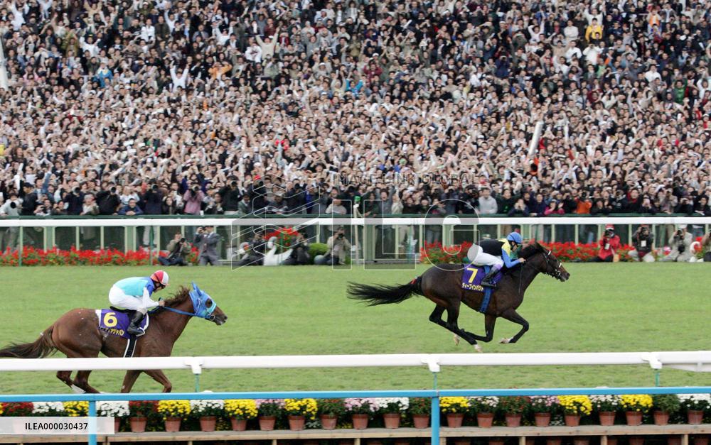 Deep Impact achieves triple crown with Kikka-sho win