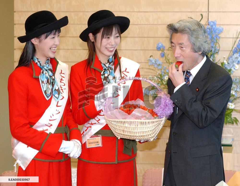 Koizumi tries strawberries from Tochigi Pref.