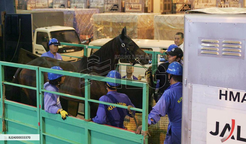 Deep Impact off for Prix de l'Arc de Triomphe