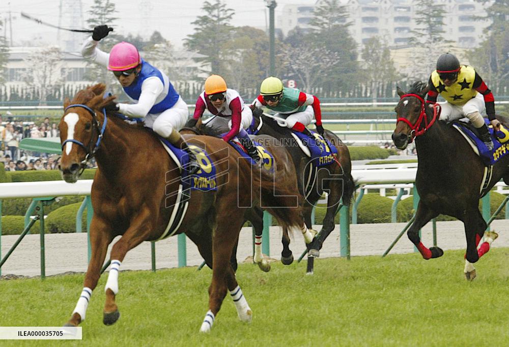 Daiwa Scarlet wins Oka-sho