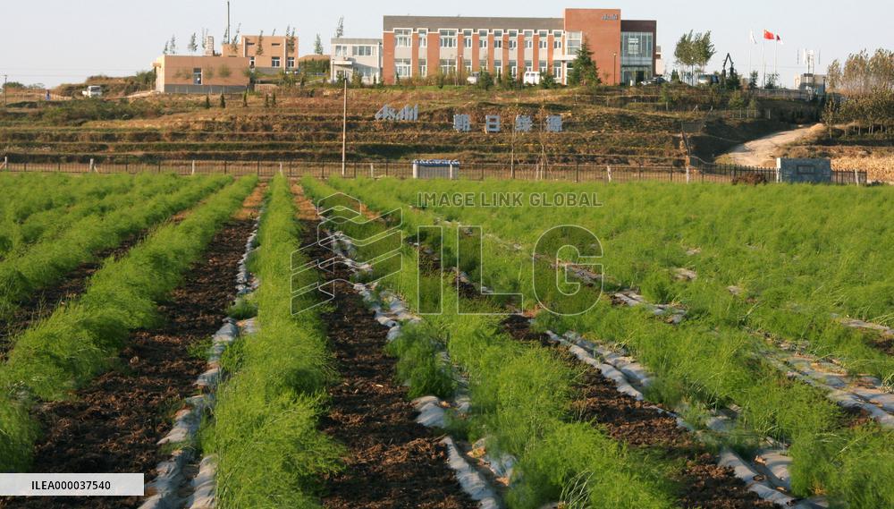 Asahi Breweries to train farmers to grow safe food in China