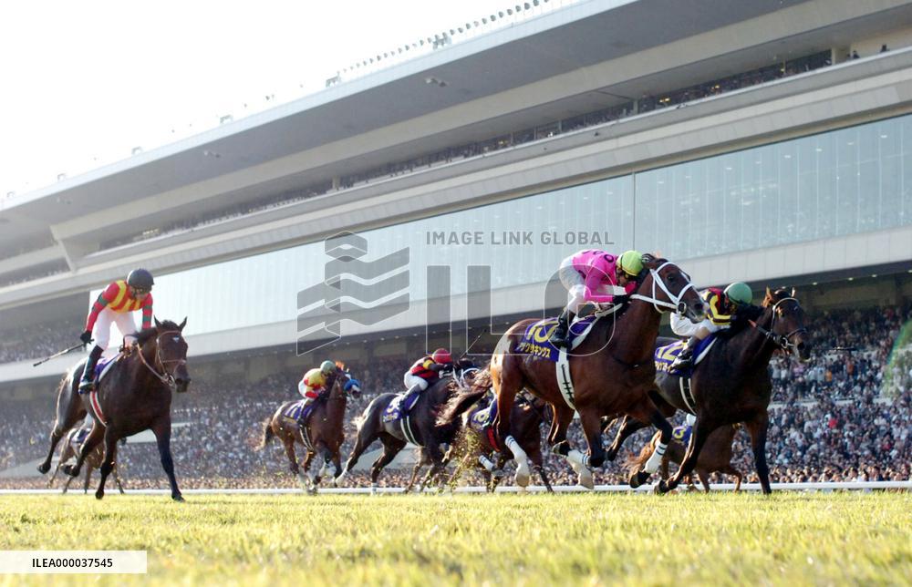 Asakusa Kings wins Kikka-sho