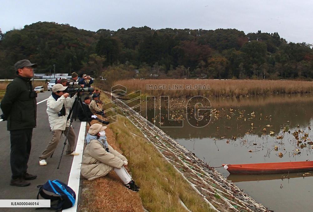 Birdwatchers gather around Ramsar-registered lake in northeast Japan