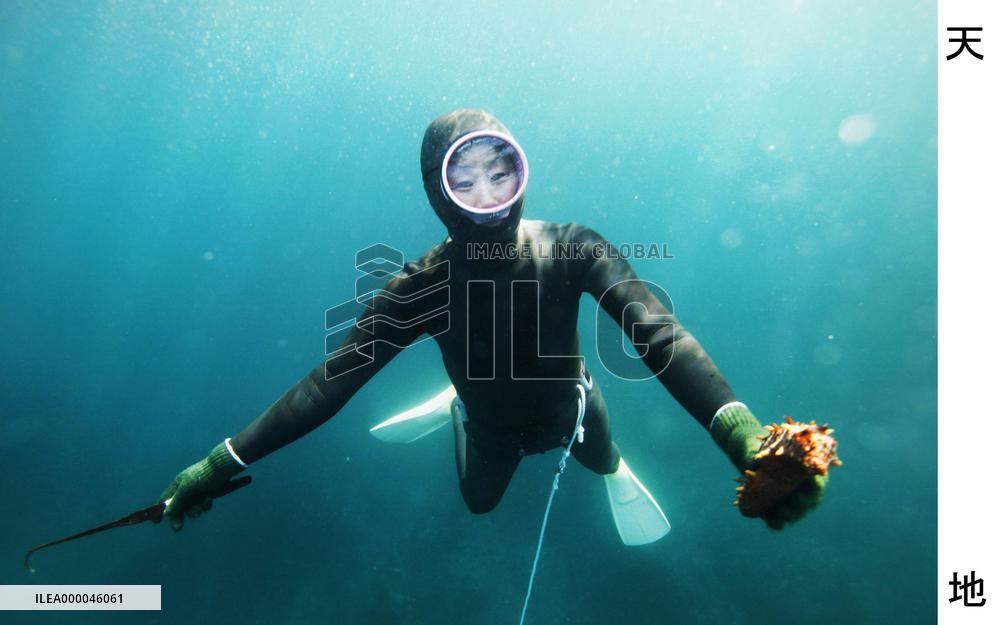 S. Korean diver holds sea cucumber caught off Shima, western Japan