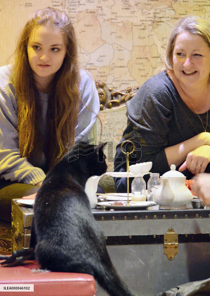 People enjoy beverages with cats in London