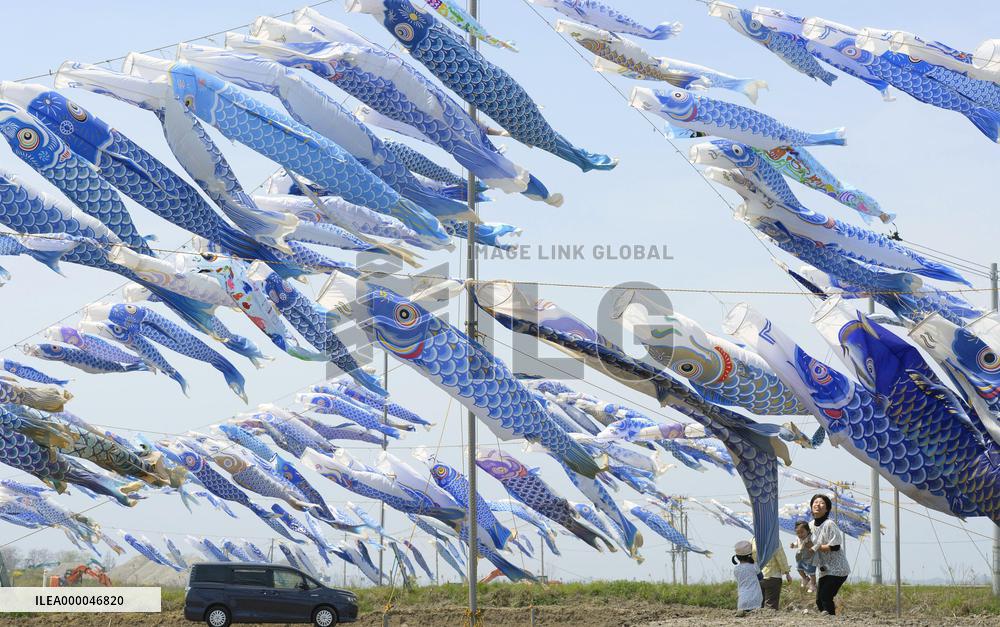 Many carp streamers flutter in memory of tsunami victims