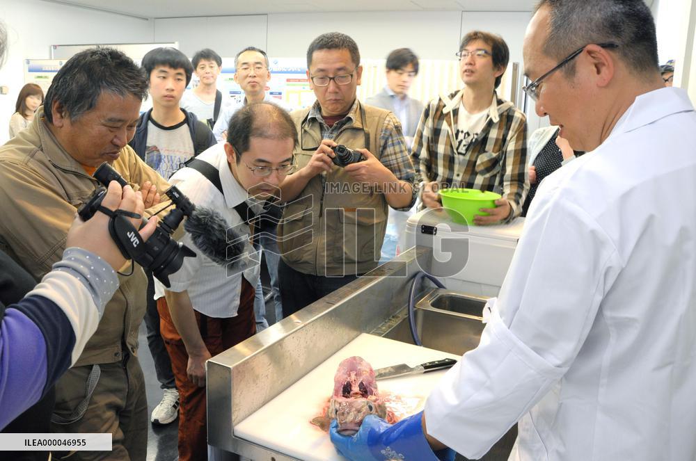 Fukushima invites consumers to event to dispel concern over local fish